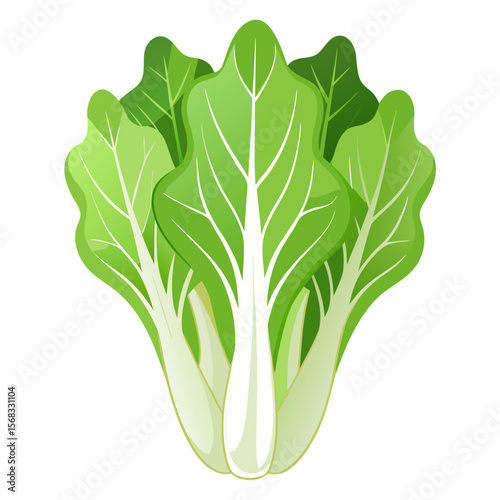Captivating bok choy design, a green and fresh culinary element ideal for branding, food blogs, or menus, perfect for any recipe promotion or nutritional graphic material.