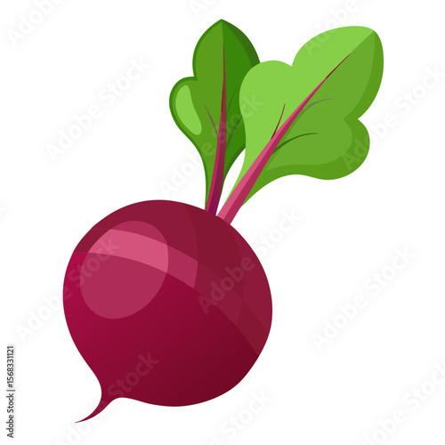 Fresh beetroot design with leaves, ideal for logos, web content, and printable graphics, perfect for culinary projects, nutrition education, and organic food brands.