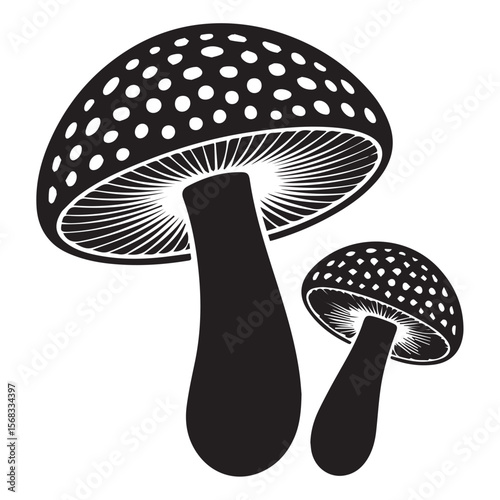 Vector art of two black mushrooms are isolated on white background