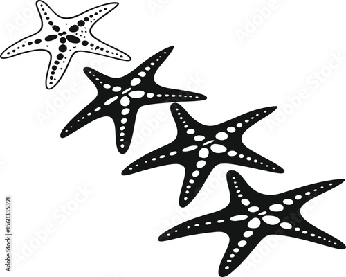 Vector art of four starfish are isolated on white background
