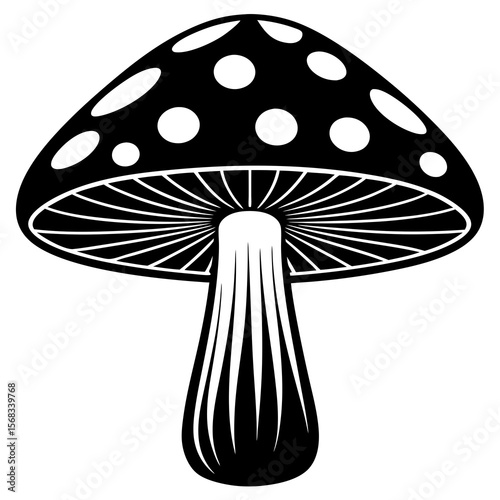 mushroom isolated on white