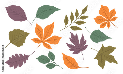 Set of autumn leaves from different trees