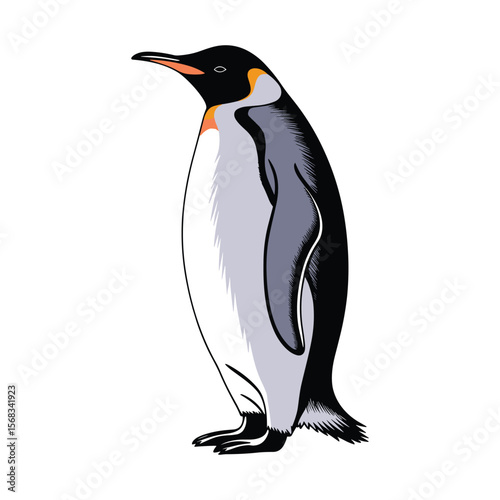 Emperor Penguin Colorful Vector Illustration.