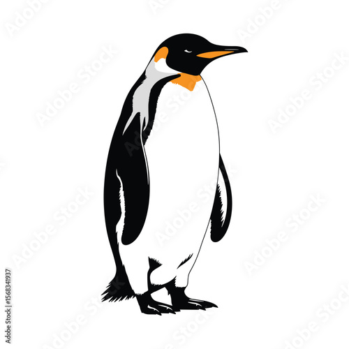 Realistic Emperor Penguin Black White and Orange Vector Illustration.