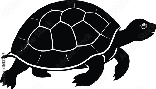 Silhouette of a Walking Turtle