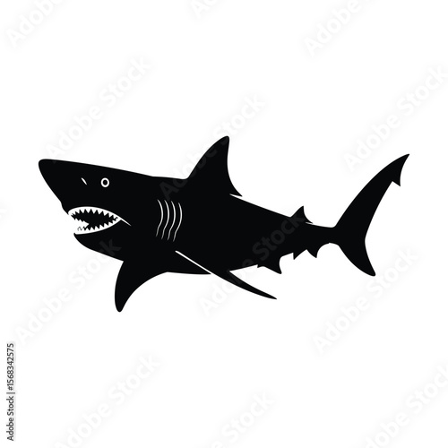 great white shark