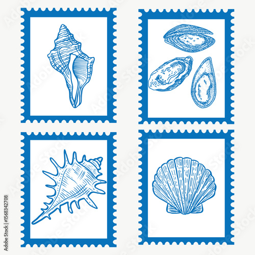Vintage marine stamp with hand drawn seashells. seashell sketch. Summer coastal la dolce style stamp design elements for trendy cafe, poster, banner, menu cover. Retro frame or border design.