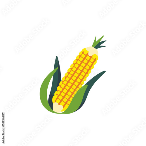 Cartoon Corn on the Cob Illustration- Fresh and Healthy Vegetable- Sweet Corn Graphic for Recipes and Nutritional Content- Agricultural Food Image