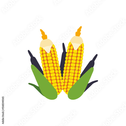 Corn Cob Image-Fresh Corn-Farm Fresh Corn Kernels-Yellow Corn-Healthy Food-Ear of Corn-Harvest Season-Corn On The Cob-Organic Corn-Summer Vegetables-Corn Illustration