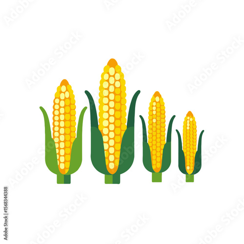 Corn Cob Illustration-Healthy Food-Farm Fresh Produce-Growing Corn-Corn Kernels-Vegetable Image-Agriculture-Corn Stalks-Yellow Corn-Fresh Corn-Corn Field-Nature-Farm-Farming-Corn Crop