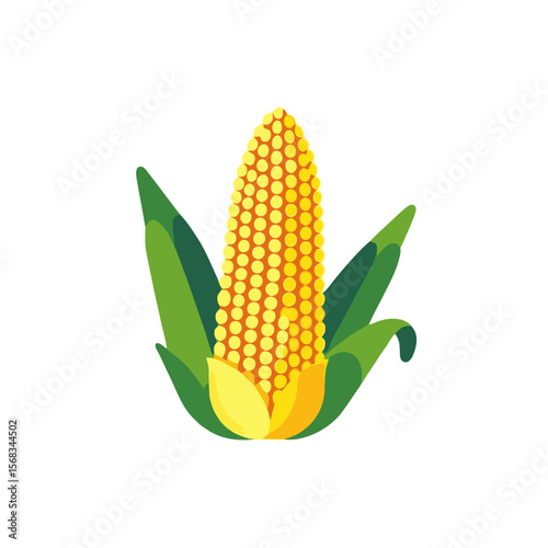 Corn-healthy-food-organic-vegetable-farm-fresh-crop-harvest-image