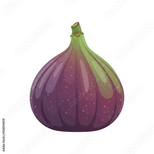 Ripe Fig Vector Illustration