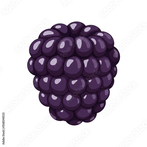 Blackberry Vector Art Illustration