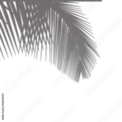 Realistic blurred shadow from plant leaf on transparent background. Tropical leaves shadow. Tree branch shade silhouette. Summer design elements. Ideas decoration in summer season.