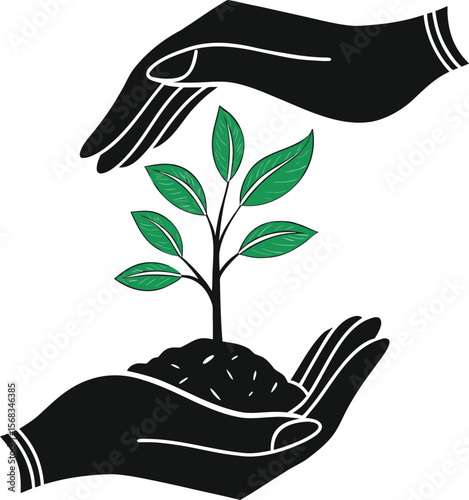 Vector art of hands protect a seedling isolated on white background