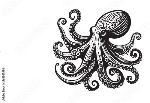 Octopus svg