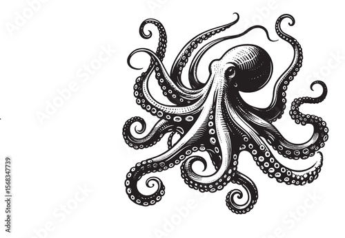 Octopus svg