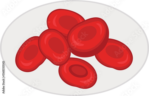 Red Blood Cells Vector Illustration
