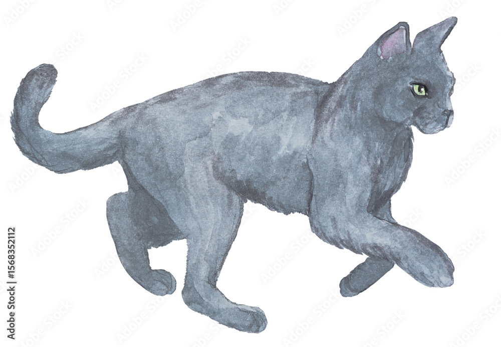 Obraz premium kitti Kat