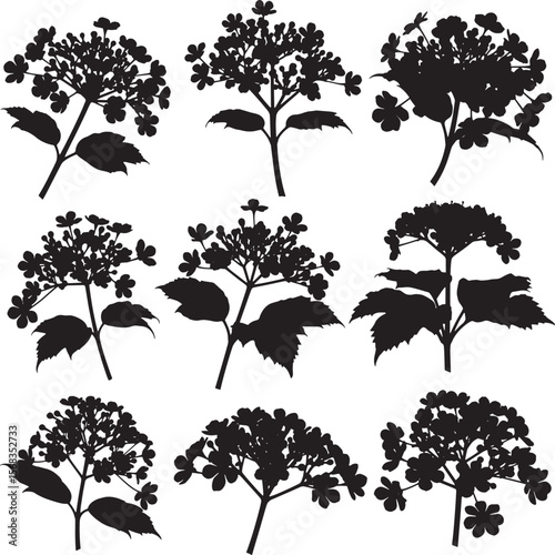 A detailed set of nine plant silhouettes, showcasing various intricate floral and botanical elements with leaves and clusters, ideal for nature-inspired designs, patterns, and elegant decor
