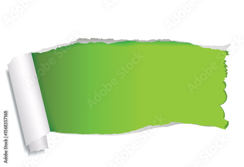 Green torn paper background with a ripped edge, a blank design concept for a grunge texture banner with copy space