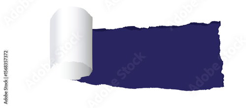 Torn, ripped paper background with ragged edges offers a blank, grunge texture for your message, concept, or design