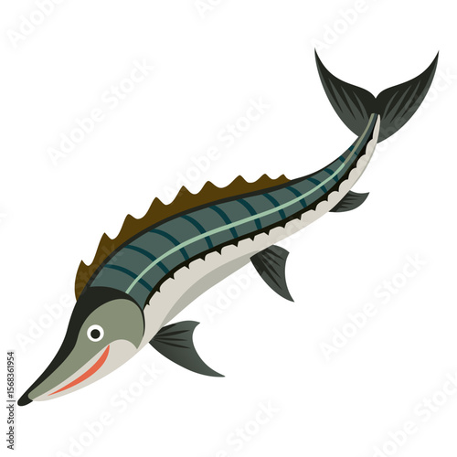 vector illustration of a fish sturgeon