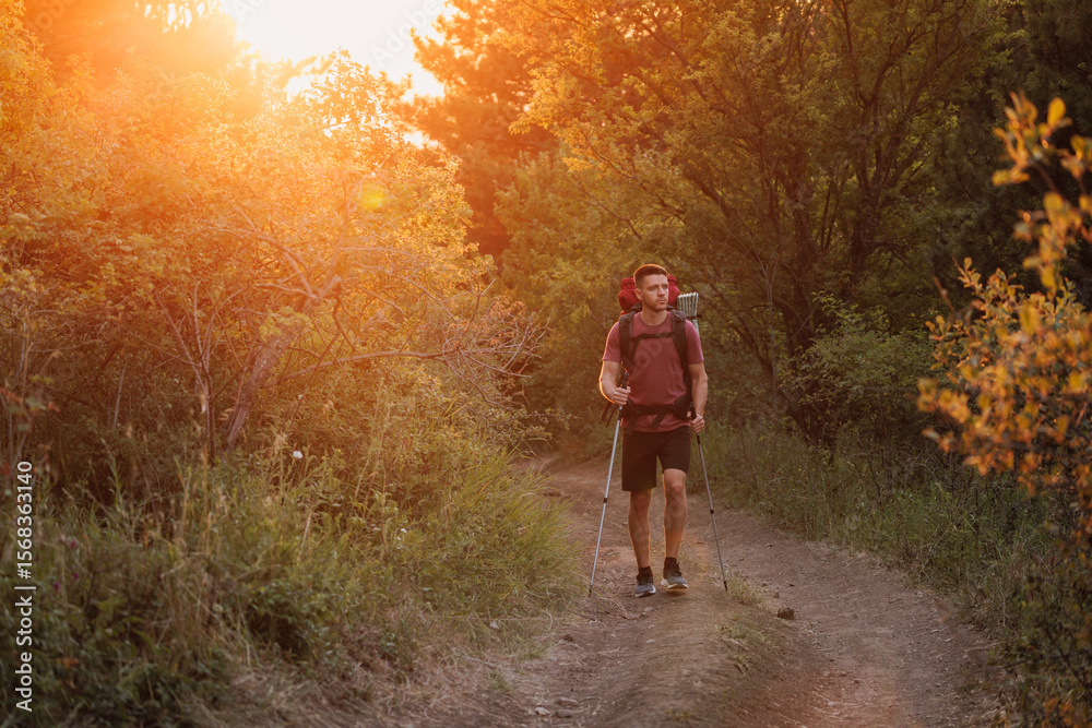 Fototapeta premium Hiker trekking through forest path with backpack and poles at warm sunset. Active lifestyle and adventure hiking concept.