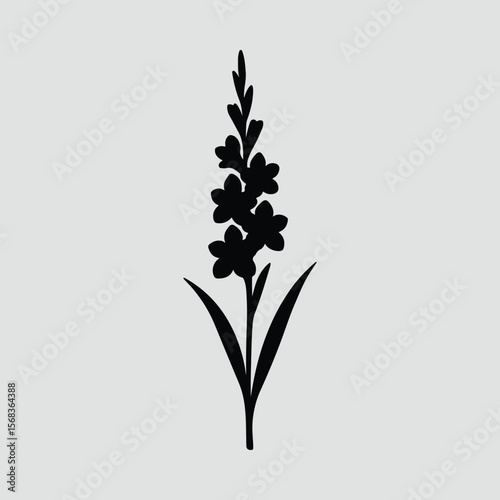 Silhouette gladiolus flower blooming on stem black Vector illustration