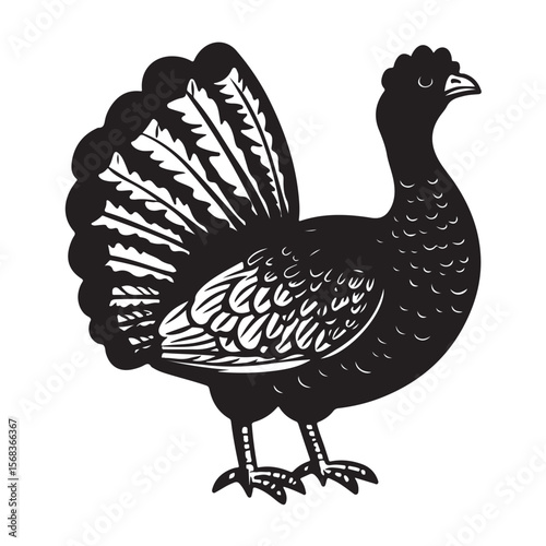 Cute Line Art Turkey Silhouette Black Vector Illustration 
