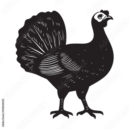 Cute Line Art Turkey Silhouette Black Vector Illustration 
