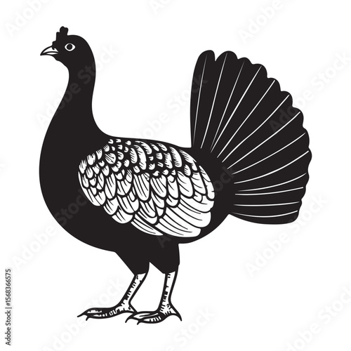 Cute Line Art Turkey Silhouette Black Vector Illustration 
