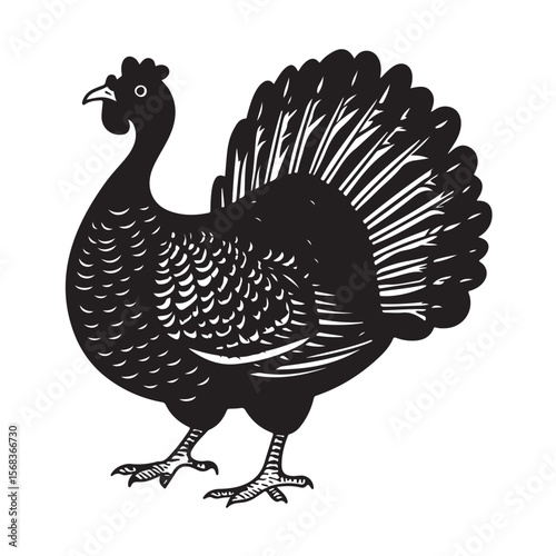Cute Line Art Turkey Silhouette Black Vector Illustration 
