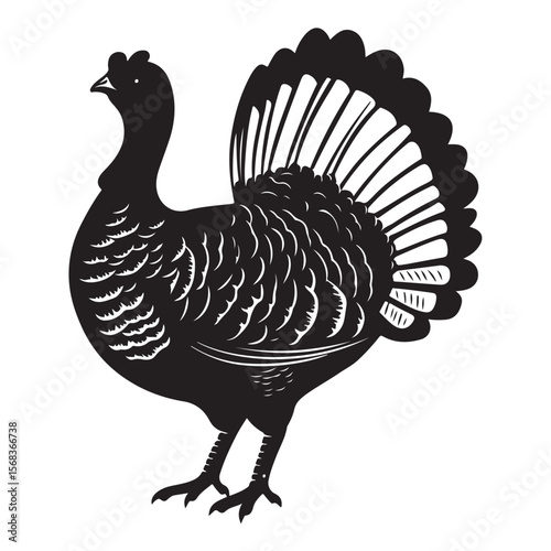 Cute Line Art Turkey Silhouette Black Vector Illustration 
