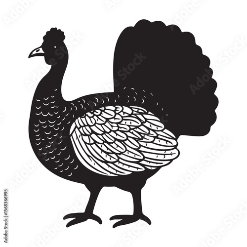 Cute Line Art Turkey Silhouette Black Vector Illustration 

