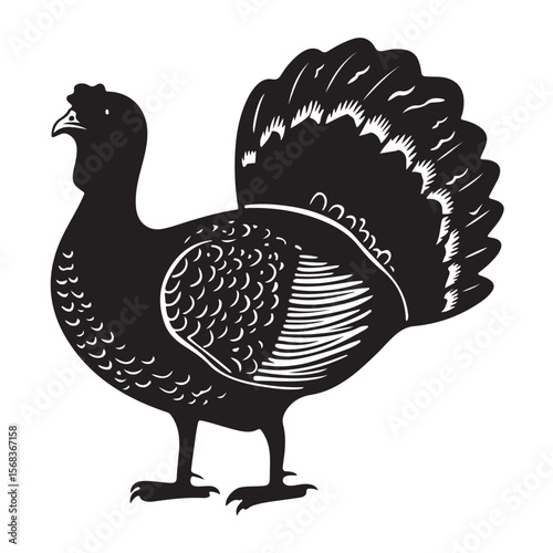 Cute Line Art Turkey Silhouette Black Vector Illustration 
