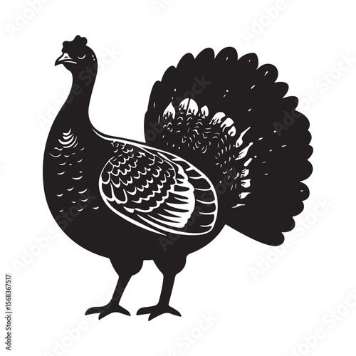 Cute Line Art Turkey Silhouette Black Vector Illustration 
