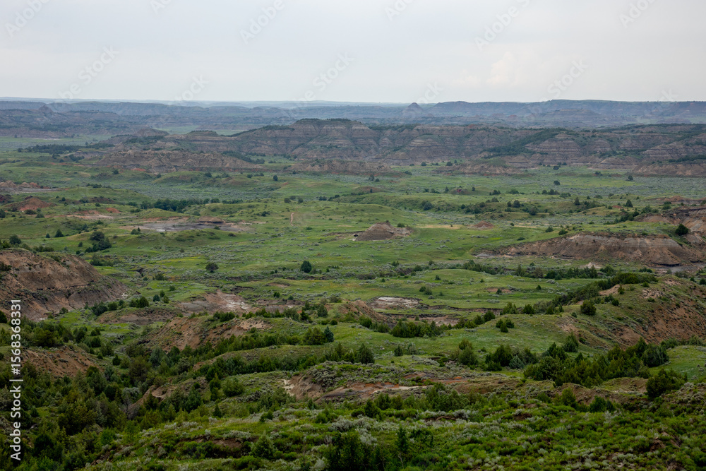 Obraz premium Badlands in the Rain