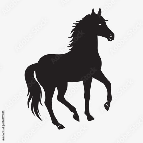silhouette horse on the white background   
