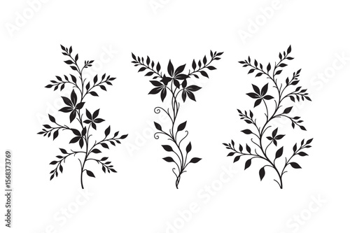 Elegant black silhouette botanical flourishes with delicate leaves