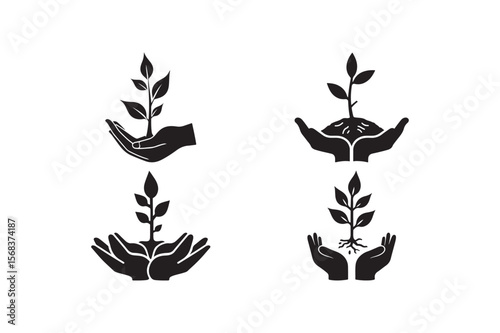 Hands gently caring for growing plants and roots