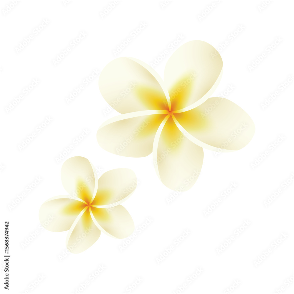 Naklejka premium frangipani flower isolated on white