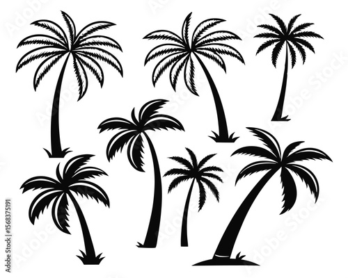 set of palm trees black and white vector illustration. tropical, vector, summer, island.
