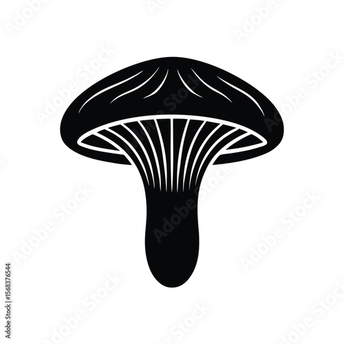 botanical-oyster-mushroom-illustration-icon-includ.eps