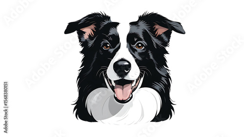 Happy border collie dog portrait with open mouth and tongue out