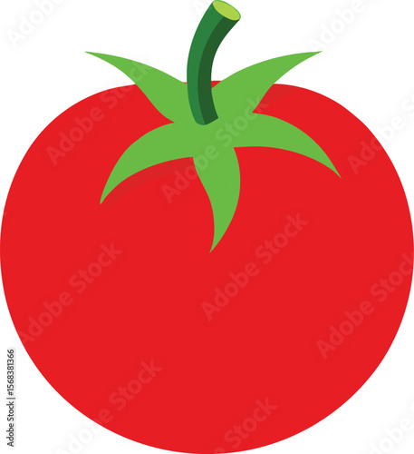 tomato vector illustration