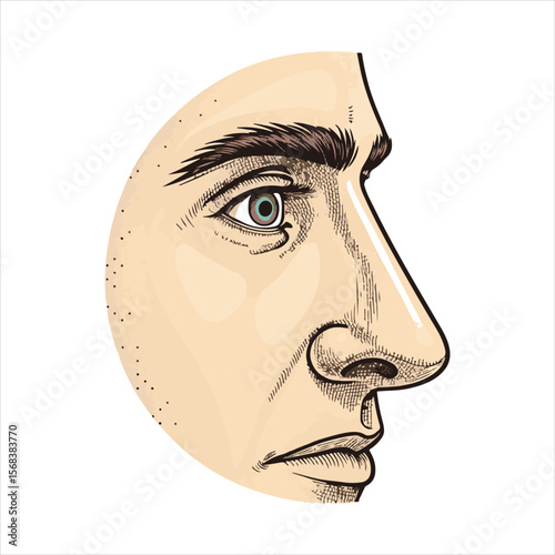 Isolated human nose in flat design and outline drawing style.