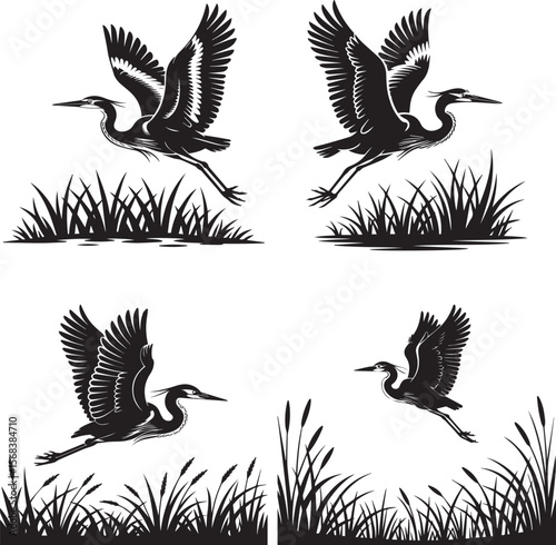 Set of Four Silhouettes of Herons Flying Above Grass, Perfect for Illustrating Nature, Wildlife, and Bird Migration Concepts