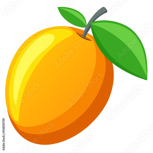 orange fruit vector illustration