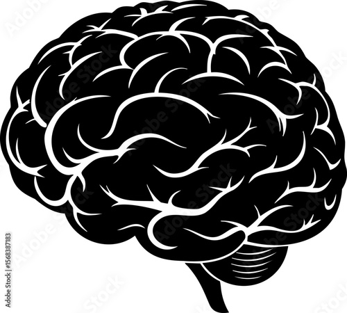 Human brain illustration with detailed folds and curves showing complex structure of organ responsible for thought and memory